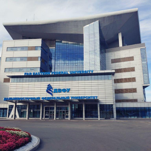 Far Eastern federal university